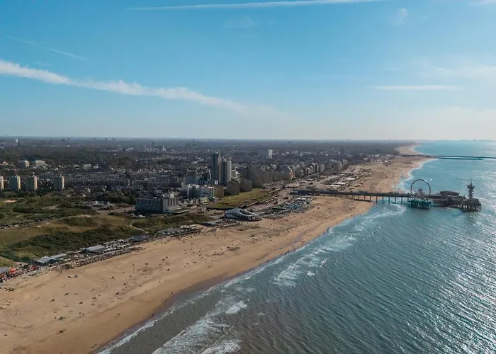 Four Stories The Hague